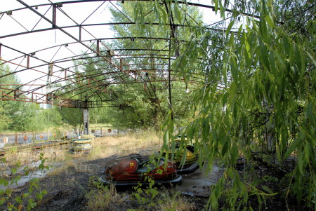 NATURE FIGHTS BACK IN CHERNOBYL – Tchernobyl, une histoire naturelle? 5